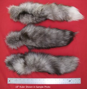 Picture of this lot Tanned Tails, Raccoon, Coyote, Fox Tails