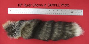 Picture of this lot Tanned Tails, Raccoon, Coyote, Fox Tails
