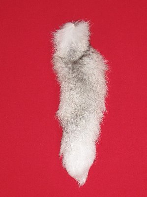 Picture of this lot Tanned Tails, Raccoon, Coyote, Fox Tails