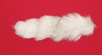 Picture of this lot Tanned Tails, Raccoon, Coyote, Fox Tails