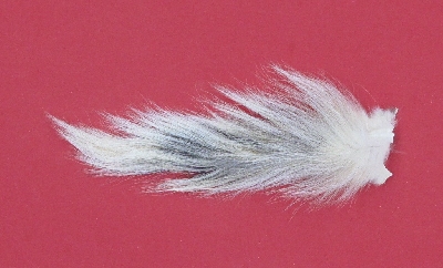Picture of this lot Tanned Tails, Raccoon, Coyote, Fox Tails