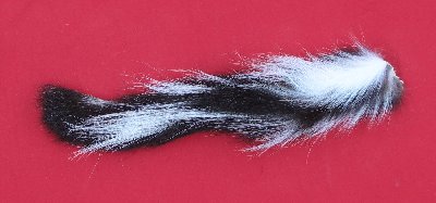 Picture of this lot Tanned Tails, Raccoon, Coyote, Fox Tails