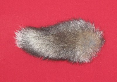 Picture of this lot Tanned Tails, Raccoon, Coyote, Fox Tails