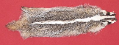 Picture of this lot Tanned Badger Hides, Furs, Pelts, Skins