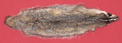 Picture of this lot Tanned Badger Hides, Furs, Pelts, Skins
