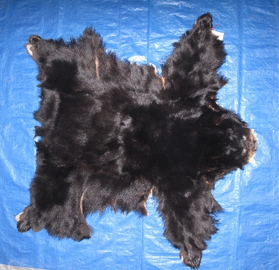 Tanned Complete Black Bear Hides, Furs, Pelts, Skins for sale by www ...