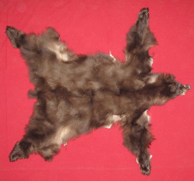 Picture of this lot Tanned Complete Black Bear Hides, Furs, Pelts, Skins