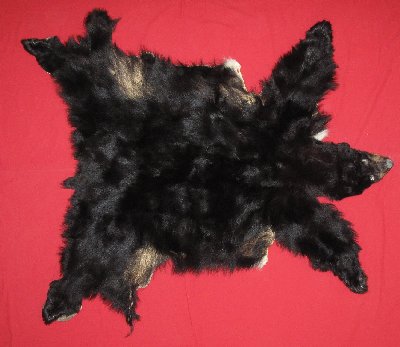 Picture of this lot Tanned Complete Black Bear Hides, Furs, Pelts, Skins