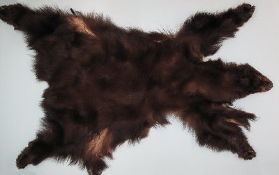 Picture of this lot Tanned Complete Black Bear Hides, Furs, Pelts, Skins