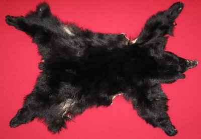 Picture of this lot Tanned Complete Black Bear Hides, Furs, Pelts, Skins