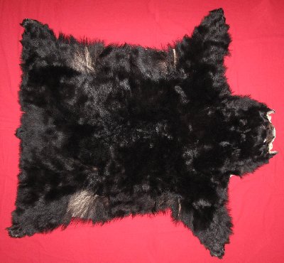 Picture of this lot Tanned Complete Black Bear Hides, Furs, Pelts, Skins