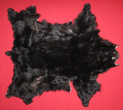 Picture of this lot Tanned Complete Black Bear Hides, Furs, Pelts, Skins