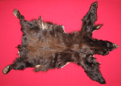 Picture of this lot Tanned Complete Black Bear Hides, Furs, Pelts, Skins