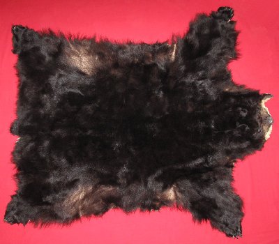 Picture of this lot Tanned Complete Black Bear Hides, Furs, Pelts, Skins