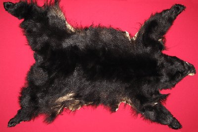 Picture of this lot Tanned Complete Black Bear Hides, Furs, Pelts, Skins