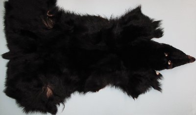 Picture of this lot Tanned No Feet Black Bear Hides, Furs, Pelts, Skins