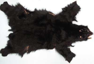 Picture of this lot Tanned No Feet Black Bear Hides, Furs, Pelts, Skins
