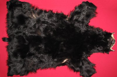 Picture of this lot Tanned No Feet Black Bear Hides, Furs, Pelts, Skins