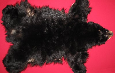 Picture of this lot Tanned No Feet Black Bear Hides, Furs, Pelts, Skins