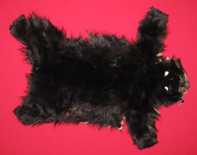 Picture of this lot Tanned No Feet Black Bear Hides, Furs, Pelts, Skins