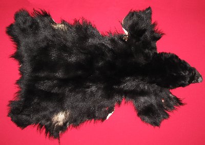 Picture of this lot Tanned No Feet Black Bear Hides, Furs, Pelts, Skins