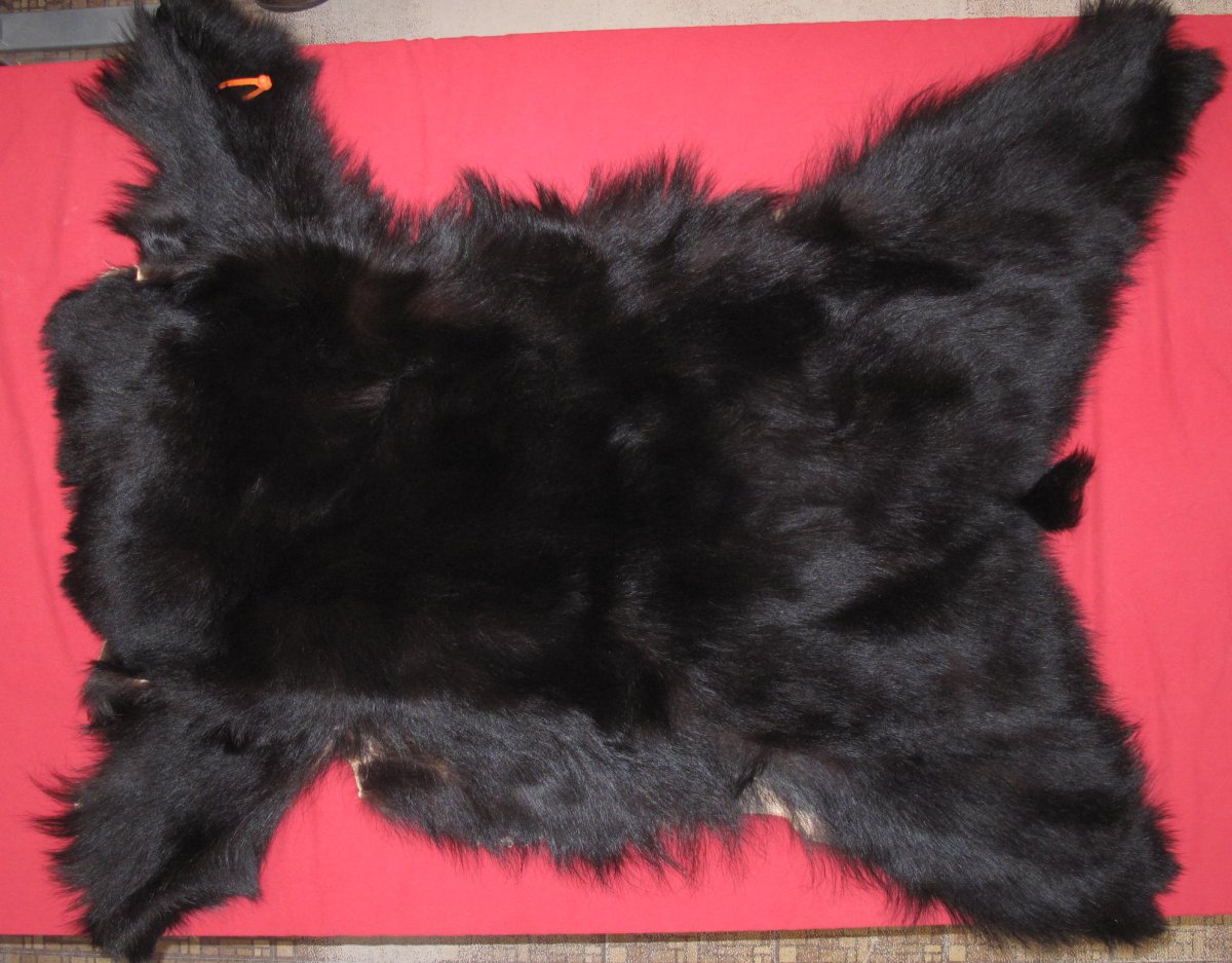 Tanned Furs BLACK BEAR PIECES (61110719)