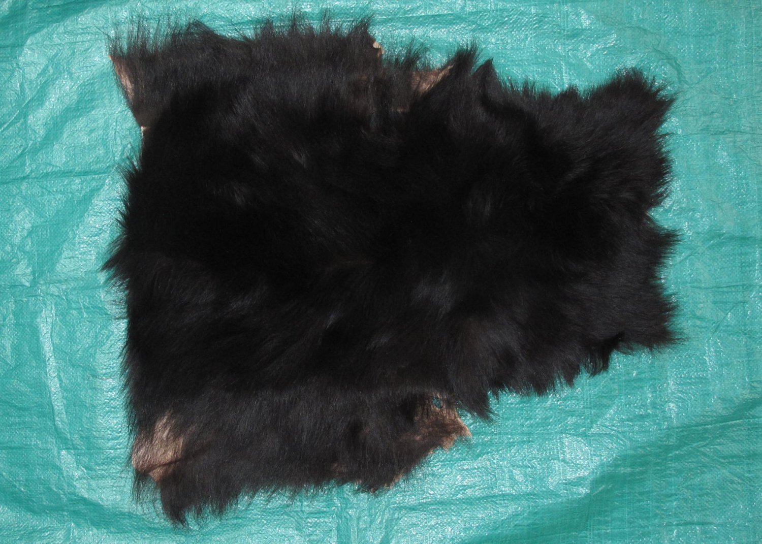 Tanned Furs BLACK BEAR PIECES (61110734)