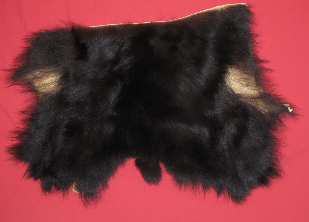Tanned Furs BLACK BEAR PIECES (61110786)