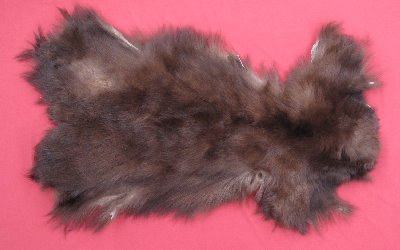 Picture of this lot Tanned Black Bear Pieces