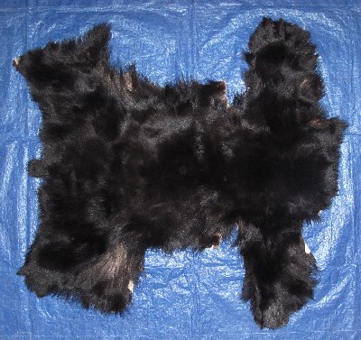 Picture of this lot Tanned Black Bear Pieces