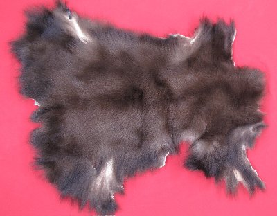 Picture of this lot Tanned Black Bear Pieces