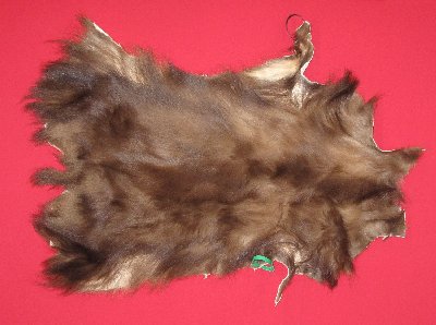 Picture of this lot Tanned Black Bear Pieces