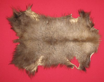Picture of this lot Tanned Black Bear Pieces
