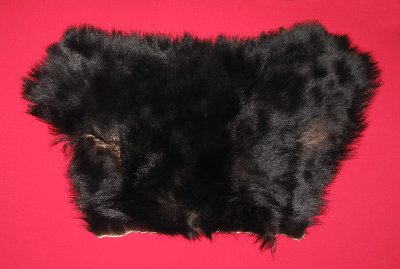 Picture of this lot Tanned Black Bear Pieces