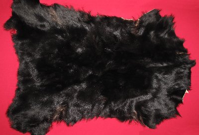 Picture of this lot Tanned Black Bear Pieces
