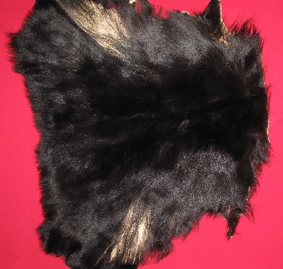 Picture of this lot Tanned Black Bear Pieces