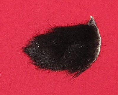 Picture of this lot Tanned Black Bear Pieces