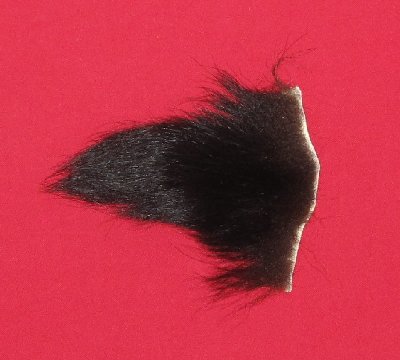 Picture of this lot Tanned Black Bear Pieces