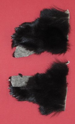 Picture of this lot Tanned Black Bear Feet