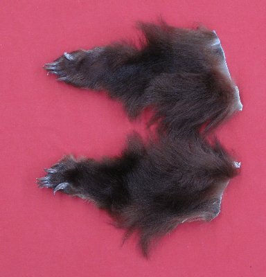 Picture of this lot Tanned Black Bear Feet