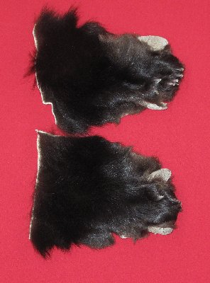 Picture of this lot Tanned Black Bear Feet