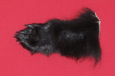 Picture of this lot Tanned Black Bear Feet