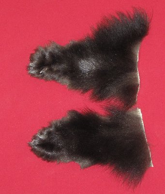 Picture of this lot Tanned Black Bear Feet