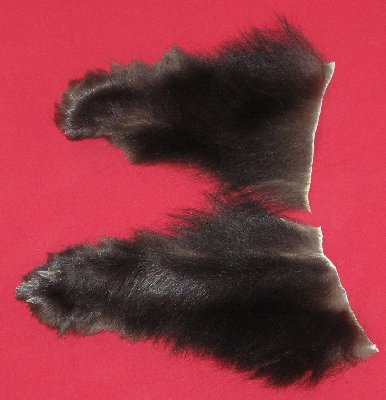 Picture of this lot Tanned Black Bear Feet