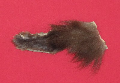 Picture of this lot Tanned Black Bear Feet