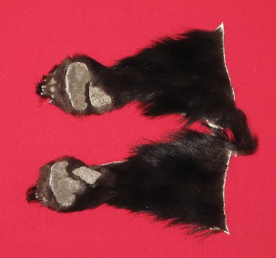 Picture of this lot Tanned Black Bear Feet