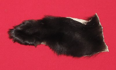 Picture of this lot Tanned Black Bear Feet
