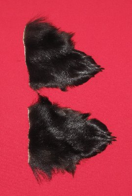 Picture of this lot Tanned Black Bear Feet