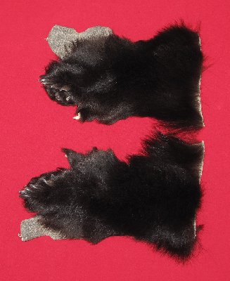 Picture of this lot Tanned Black Bear Feet