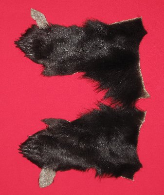 Picture of this lot Tanned Black Bear Feet